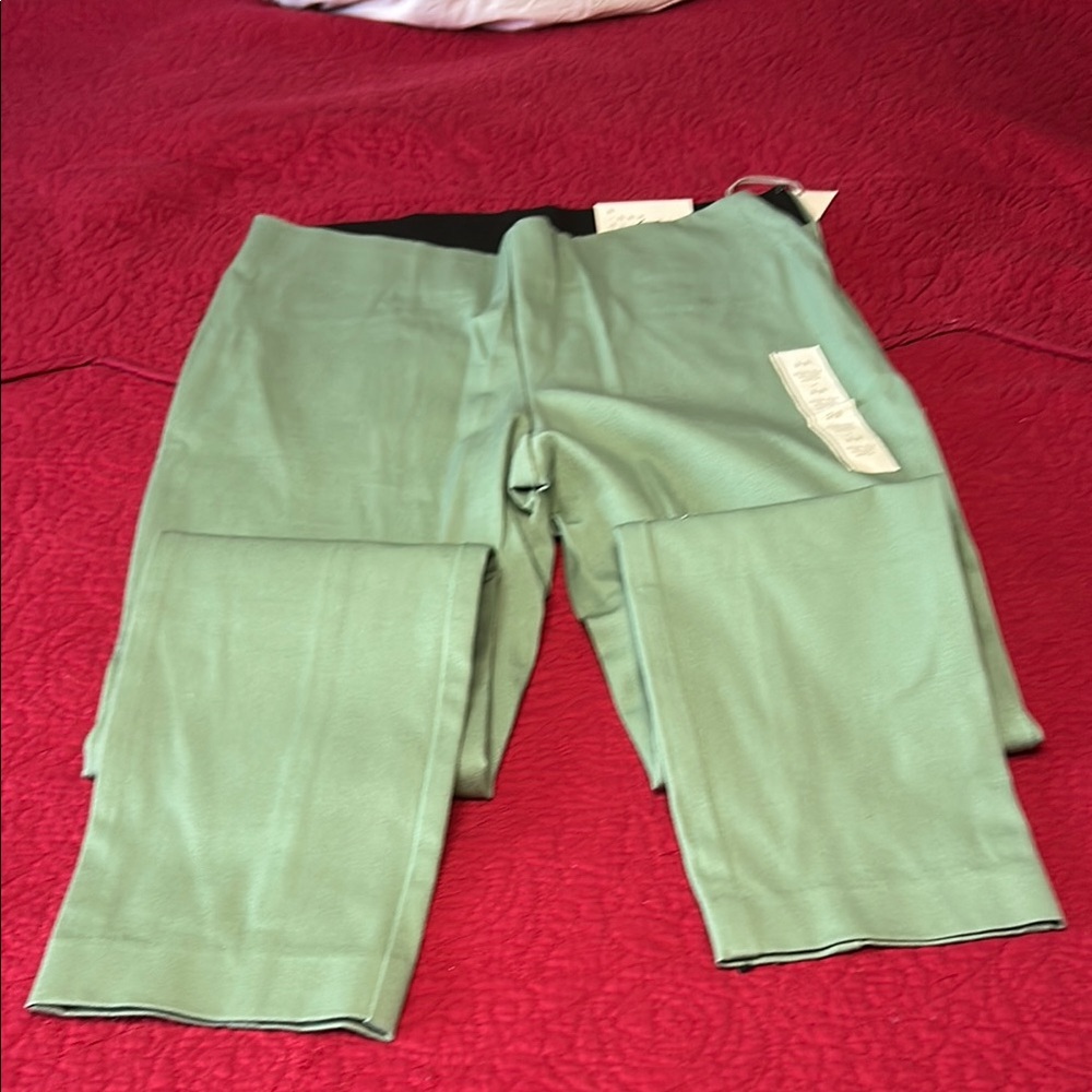 a new day Green Ankle Pants size 2R nwt